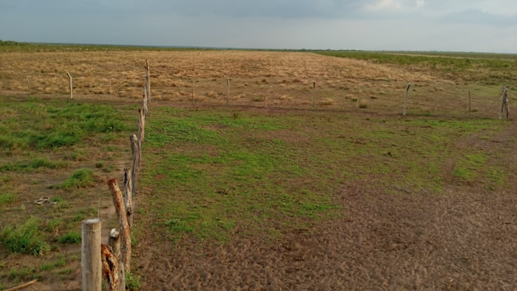 Vendo Fazenda de 12 000 Hectares-Santa Quitéria do Maranhão- MA (4)