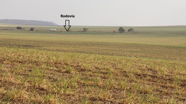 Vendo Fazenda de 126,5 Alqueires- Ribeirão Preto-SP 00011