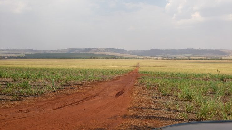 Vendo Fazenda de 126,5 Alqueires- Ribeirão Preto-SP 0004