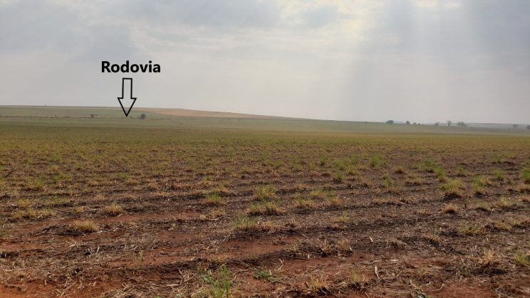 Vendo Fazenda de 126,5 Alqueires- Ribeirão Preto-SP 006