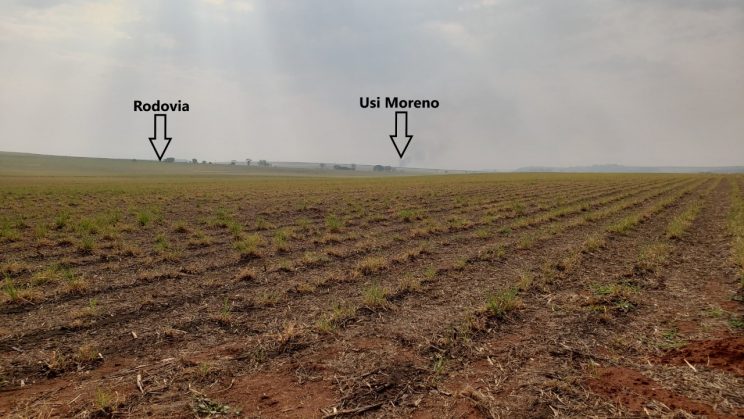 Vendo Fazenda de 126,5 Alqueires- Ribeirão Preto-SP 009
