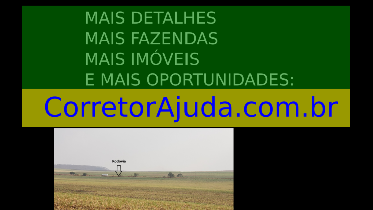 Vendo Fazenda de 126,5 Alqueires- Ribeirão Preto-SP 03