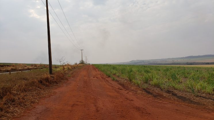 Vendo Fazenda de 126,5 Alqueires- Ribeirão Preto-SP 07