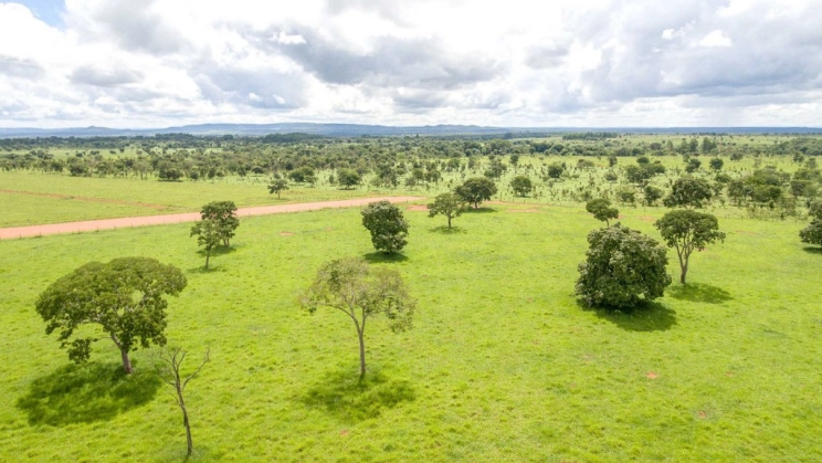 Vendo Fazenda de 1279 Hectares-Unaí-MG (1)