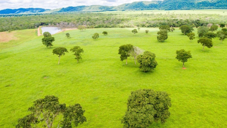 Vendo Fazenda de 1279 Hectares-Unaí-MG (10)