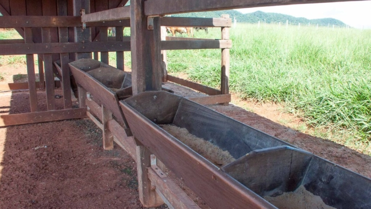 Vendo Fazenda de 1279 Hectares-Unaí-MG (11)