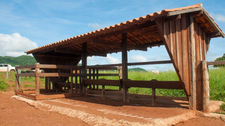 Vendo Fazenda de 1279 Hectares-Unaí-MG (12)