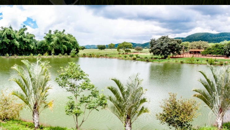 Vendo Fazenda de 1279 Hectares-Unaí-MG (13)