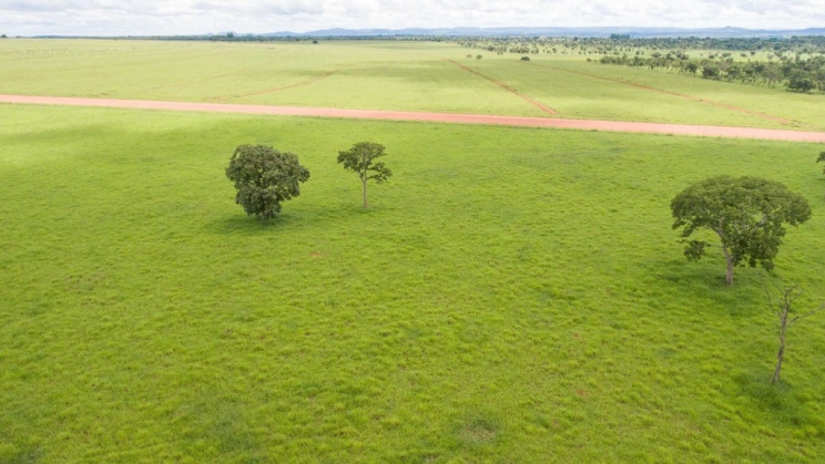 Vendo Fazenda de 1279 Hectares-Unaí-MG (6)