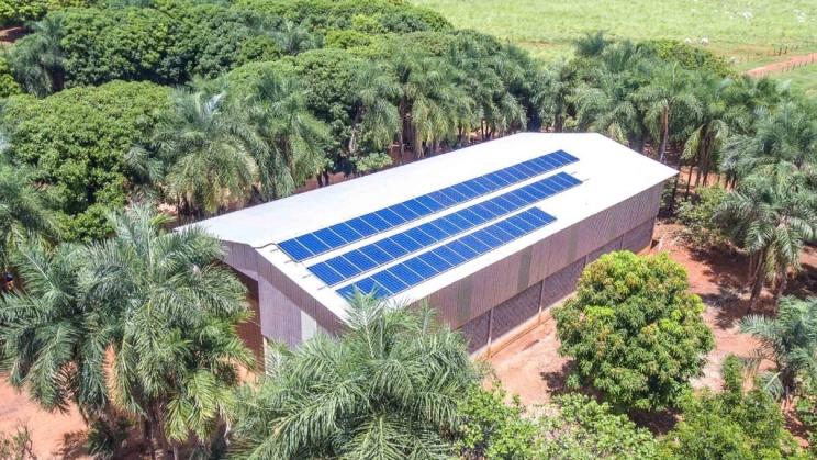 Vendo Fazenda de 1279 Hectares-Unaí-MG (8)
