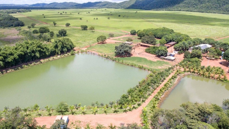 Vendo Fazenda de 1279 Hectares-Unaí-MG (9)