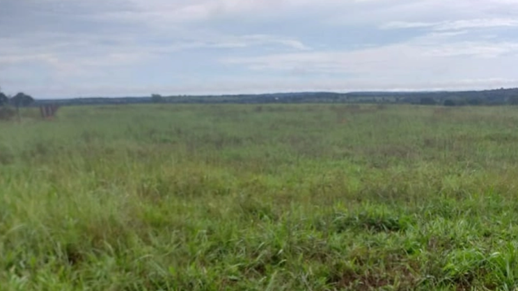 Vendo Fazenda de 1379 Hectares- Goianorte-TO (6)