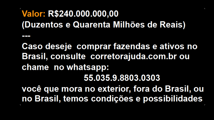 Vendo Fazenda de 14004 Hectares- Riachinho-MG (4)