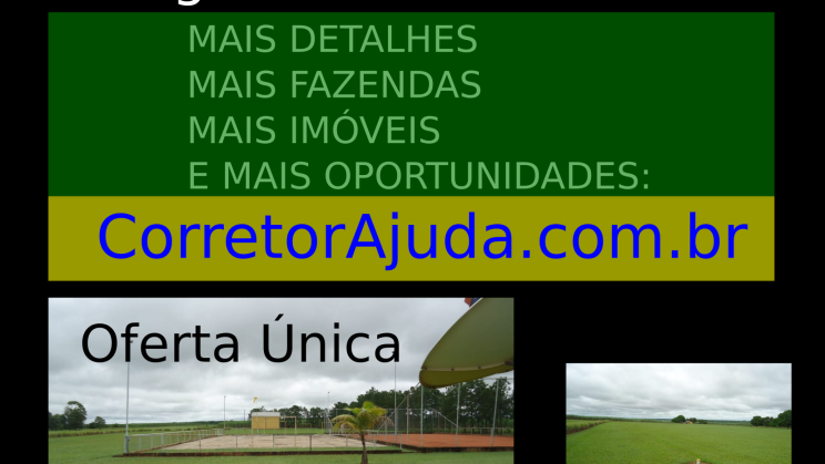 Vendo Fazenda de 1467 Alqueires Localização Estado de São Paulo-SP 03