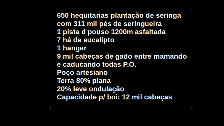 Vendo Fazenda de 17125 Hectares- Tocantins (3)