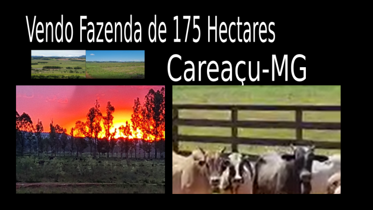 Vendo Fazenda de 175 Hectares- Careaçu-MG c01