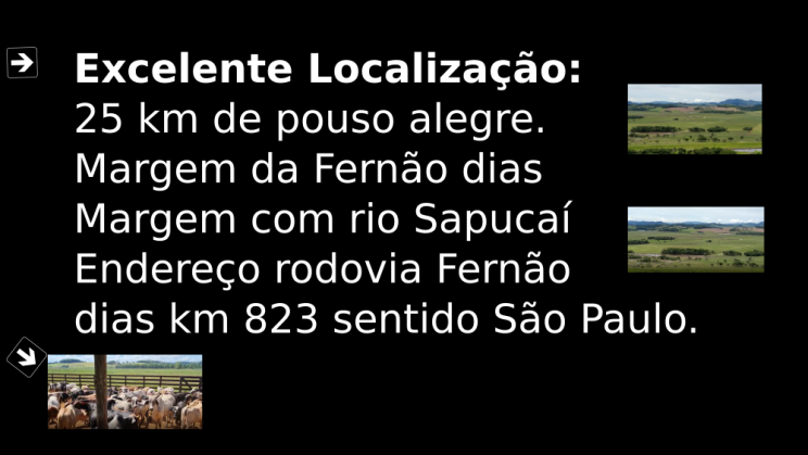 Vendo Fazenda de 175 Hectares- Careaçu-MG c03