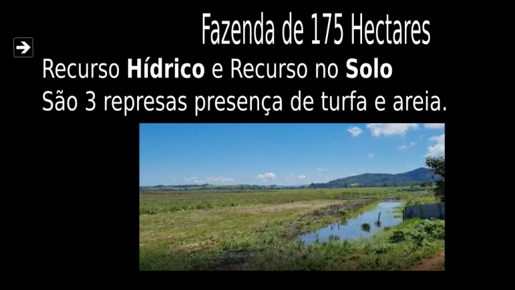 Vendo Fazenda de 175 Hectares- Careaçu-MG c04