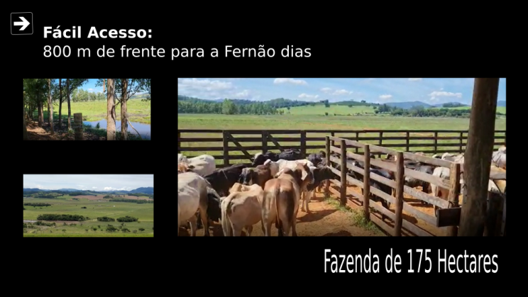 Vendo Fazenda de 175 Hectares- Careaçu-MG c06
