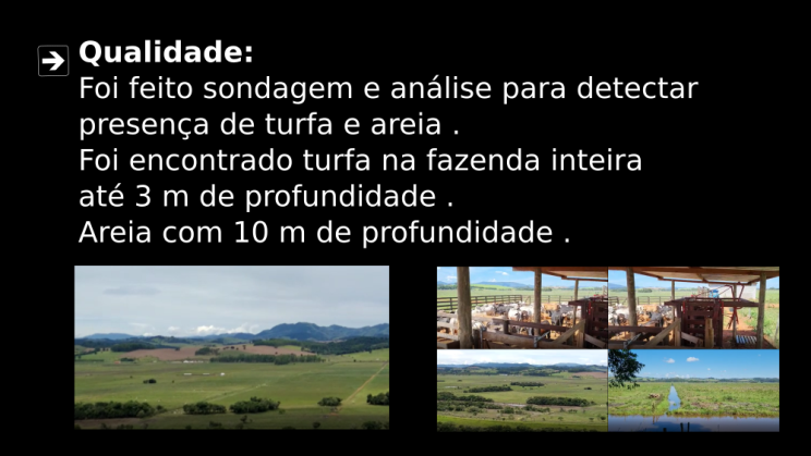 Vendo Fazenda de 175 Hectares- Careaçu-MG c07