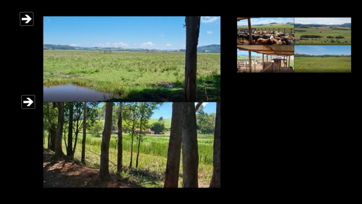 Vendo Fazenda de 175 Hectares- Careaçu-MG c08