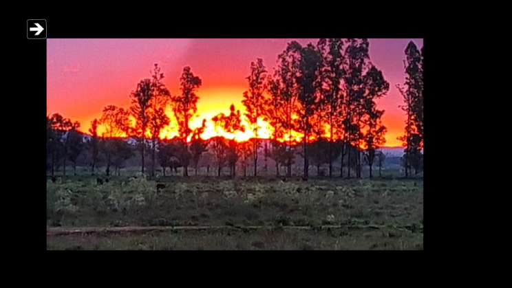 Vendo Fazenda de 175 Hectares- Careaçu-MG c09