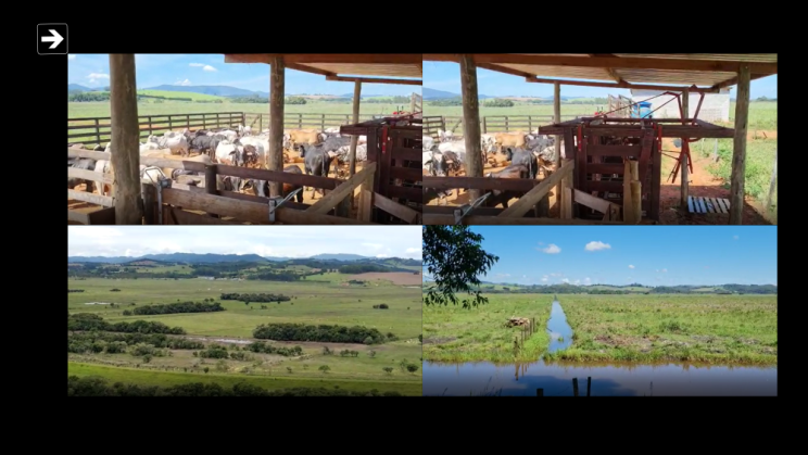 Vendo Fazenda de 175 Hectares- Careaçu-MG c10