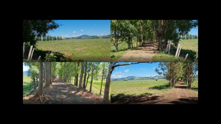 Vendo Fazenda de 175 Hectares- Careaçu-MG c13