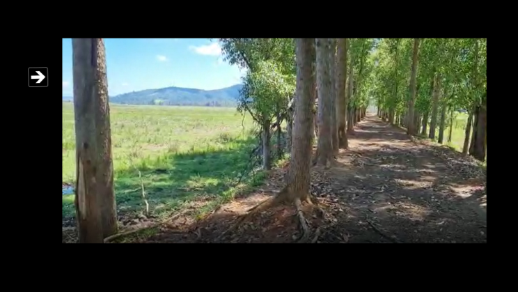 Vendo Fazenda de 175 Hectares- Careaçu-MG c14