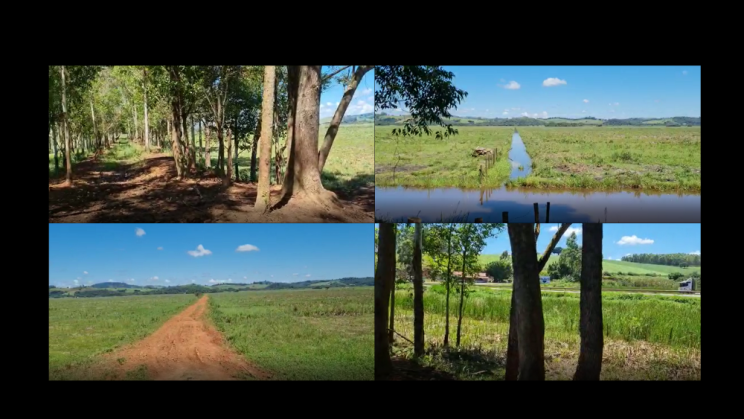 Vendo Fazenda de 175 Hectares- Careaçu-MG c15
