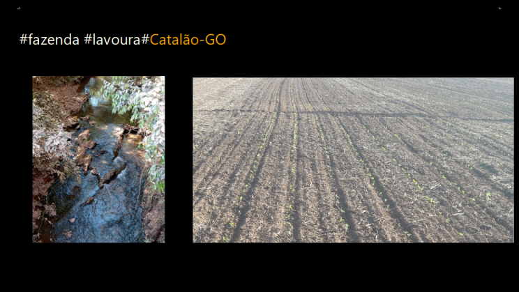 Vendo Fazenda de 1863 Hectares- Catalão-GO (2)