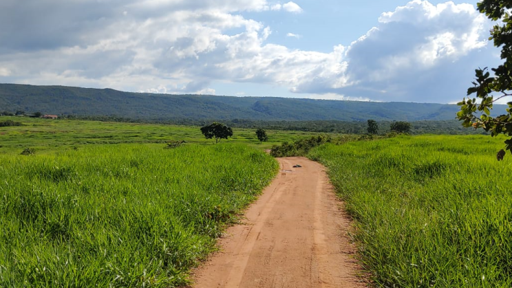 Vendo Fazenda de 1900 Hectares- Cuiabá-MT (5)
