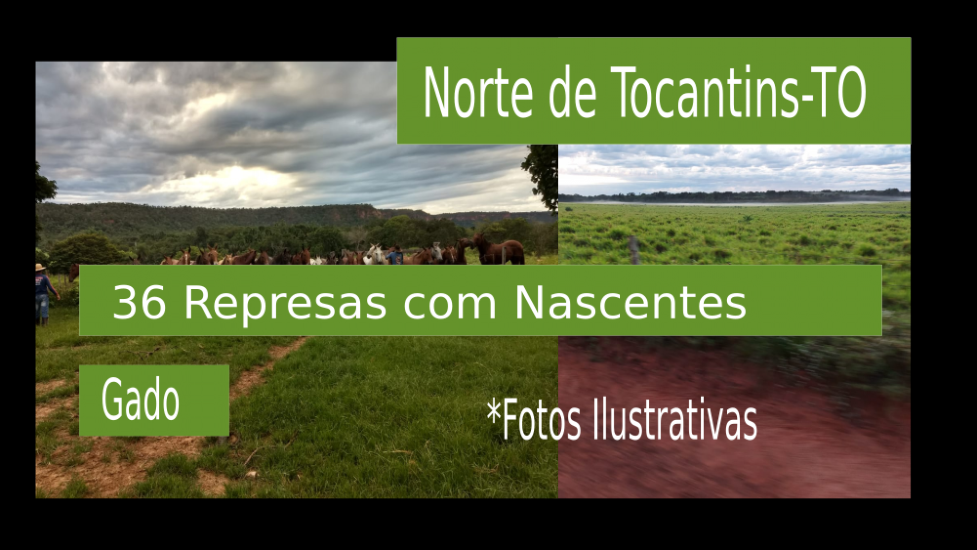 Vendo Fazenda de 19819 hecares -Norte de Tocantins-TO c02