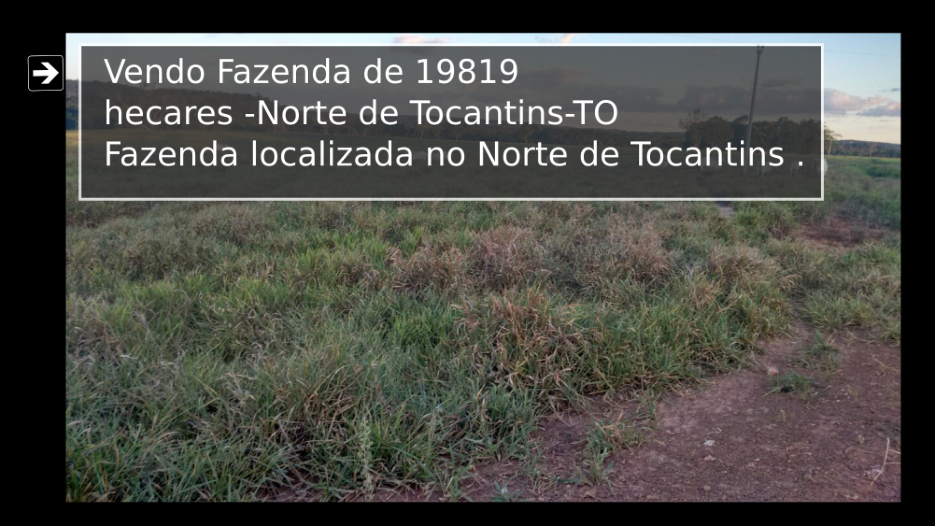 Vendo Fazenda de 19819 hecares -Norte de Tocantins-TO c04
