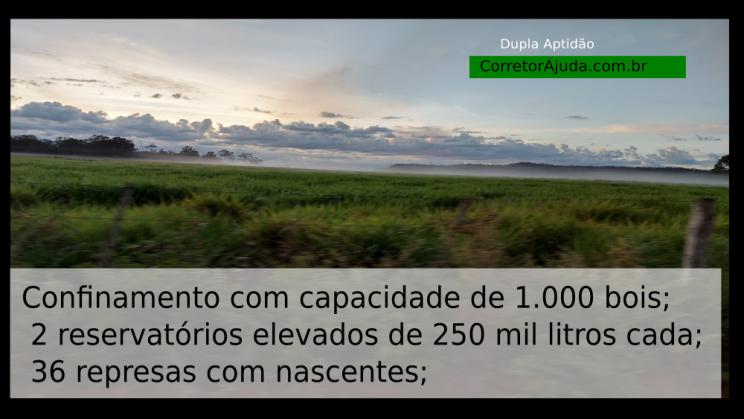 Vendo Fazenda de 19819 hecares -Norte de Tocantins-TO c09
