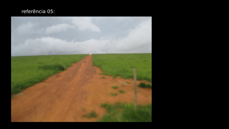 Vendo Fazenda de 2000 Hectares- Água Fria de Goiás - GO c10