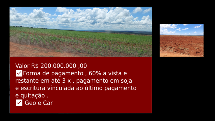 Vendo Fazenda de 2000 Hectares- Água Fria de Goiás - GO c12