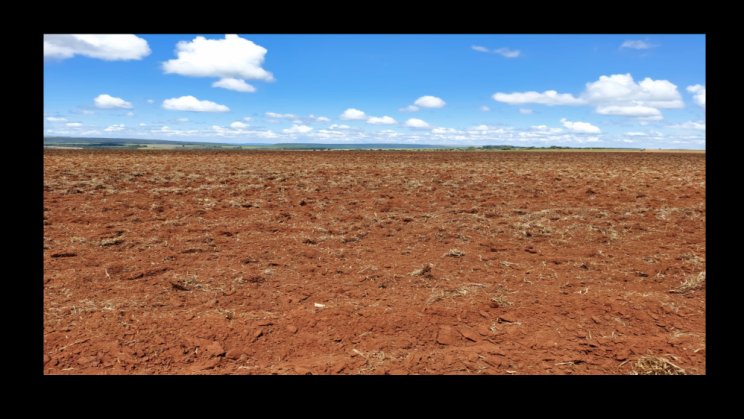 Vendo Fazenda de 2000 Hectares- Água Fria de Goiás - GO c13