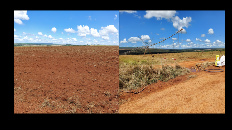 Vendo Fazenda de 2000 Hectares- Água Fria de Goiás - GO c15