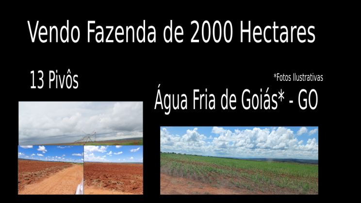 Vendo Fazenda de 2000 Hectares- Água Fria de Goiás - GO c2