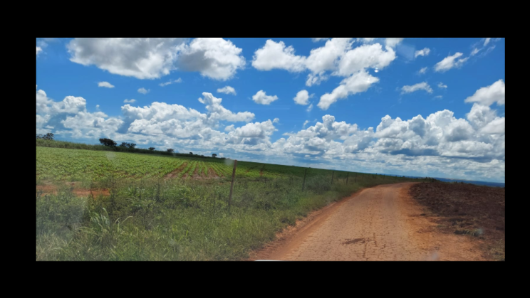 Vendo Fazenda de 2000 Hectares- Água Fria de Goiás - GO c5