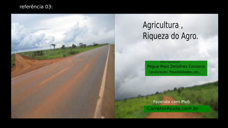 Vendo Fazenda de 2000 Hectares- Água Fria de Goiás - GO c8