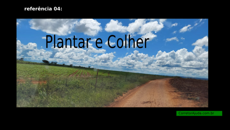 Vendo Fazenda de 2000 Hectares- Água Fria de Goiás - GO c9