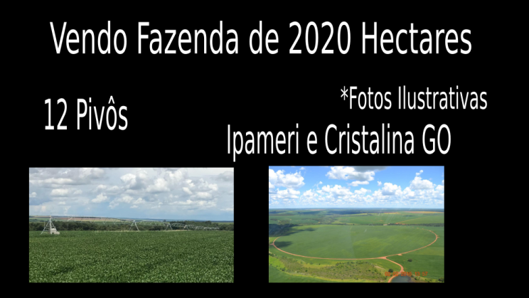 Vendo Fazenda de 2020 Hectares no Município Ipameri e Cristalina GO c2
