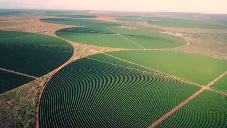 Vendo Fazenda de 2050 Hectares- Minas Gerais (6)