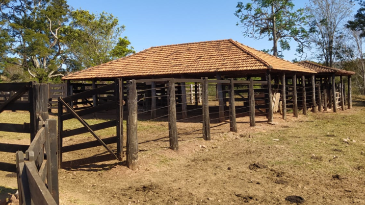 Vendo Fazenda de 21 Alqueires-Cumari-GO (4)