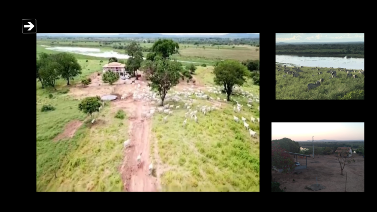 Vendo Fazenda de 2148 Hectares Pedras de Maria da Cruz-MG c 11