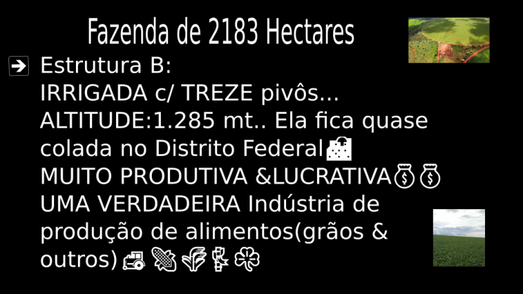 Vendo Fazenda de 2183 Hectares - Planaltina-GO capa 04