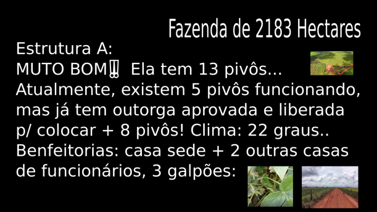 Vendo Fazenda de 2183 Hectares - Planaltina-GO capa 08