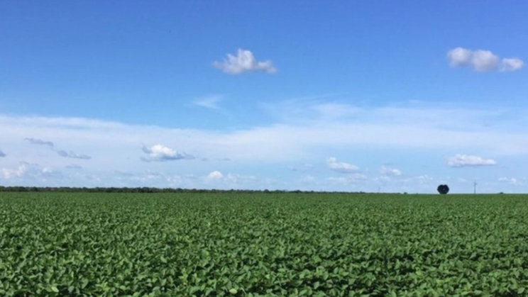 Vendo Fazenda de 2424 Hectares- Porangatu-GO (10)